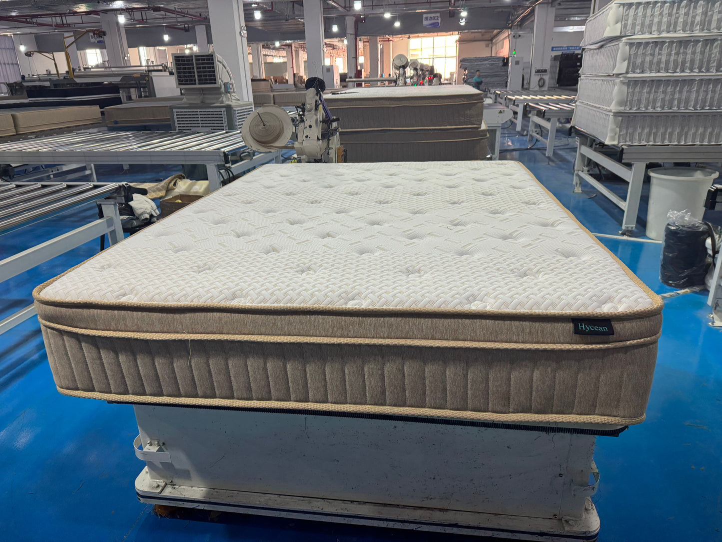 Hycean Queen Size Mattress, 12 Inch Memory Foam Pocket Spring Mattress, Hybrid Bed Mattress in a Box for Pressure Relief & Motion Isolation, CertiPUR-US, 100-Night Trial